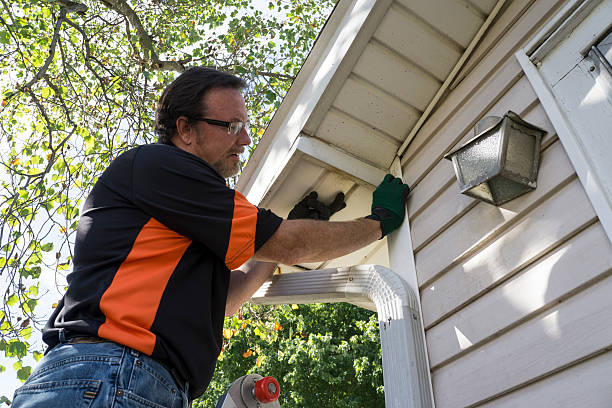 Best Siding Painting and Refinishing  in Stanley, ND
